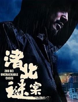 渚北谜案海报剧照