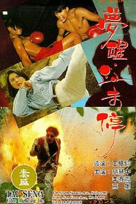 梦醒血未停海报剧照