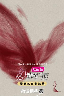姐姐当家海报剧照