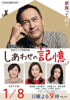 幸福的记忆海报剧照