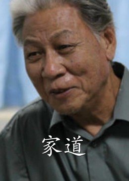 家道海报剧照