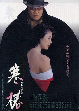 寒椿海报剧照