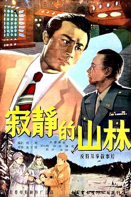 寂静的山林海报剧照
