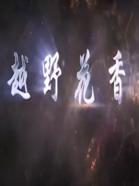 越野花香海报剧照