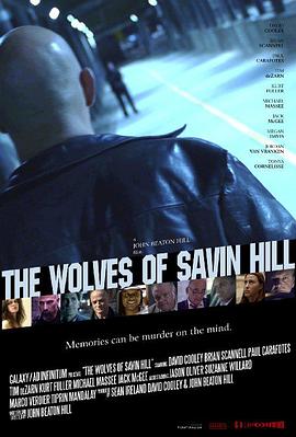 TheWolvesofSavinHill海报剧照