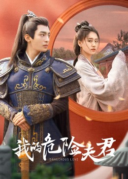 我的危险夫君海报剧照