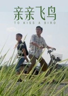 亲亲飞鸟海报剧照