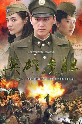 英雄虎胆2006海报剧照