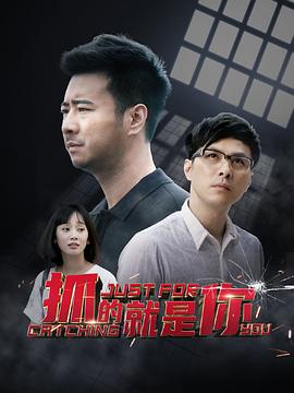 抓的就是你海报剧照