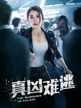 真凶难逃海报剧照