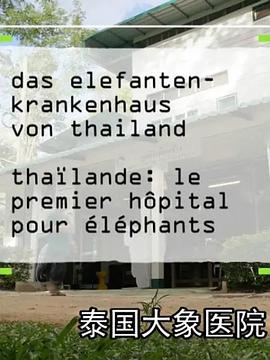 泰国大象医院海报剧照