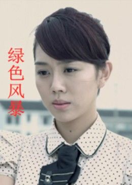 绿色风暴海报剧照