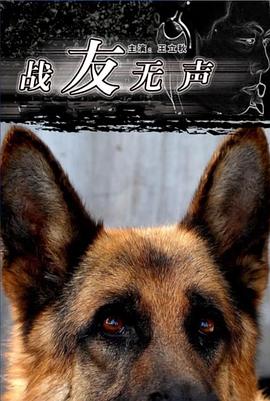 战友无声海报剧照