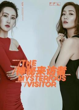 神秘来访者海报剧照
