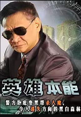 英雄本能海报剧照