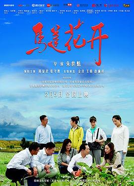 马莲花开海报剧照