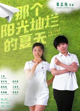 那个阳光灿烂的夏天海报剧照