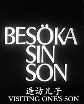 造访儿子海报剧照