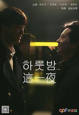 这一夜海报剧照