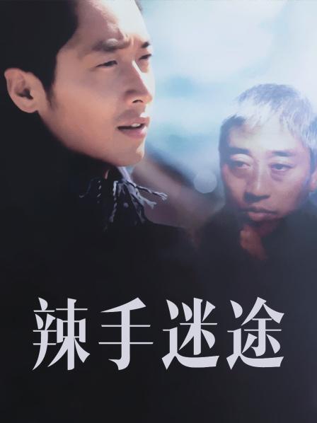 辣手迷途海报剧照