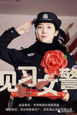 见习女警海报剧照