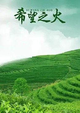 西游超级粉海报剧照