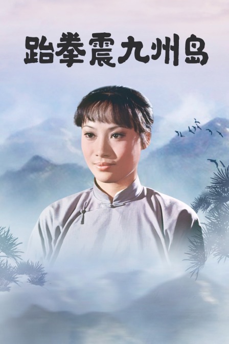 跆拳震九州岛海报剧照