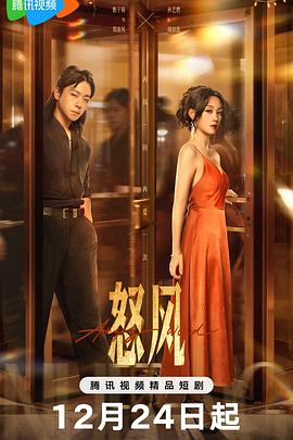 怒风海报