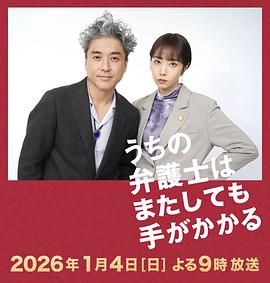 我家的律师又惹麻烦了海报剧照