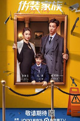 伪装家族海报