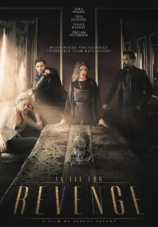 说谎的艺术海报