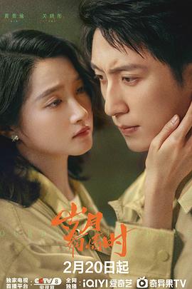 岁月有情时海报