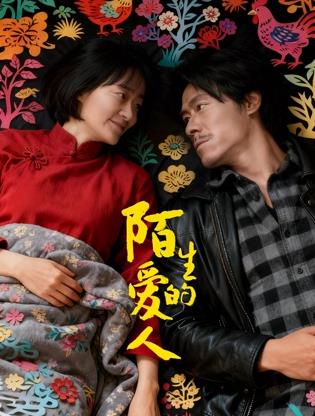 陌生的爱人海报