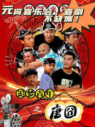 追梦青年之唐囧海报