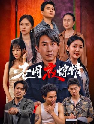 老周夜惊情海报