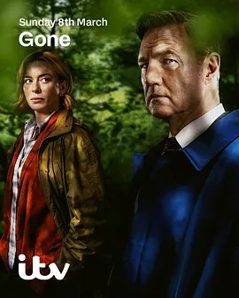 消失的妻子Gone海报