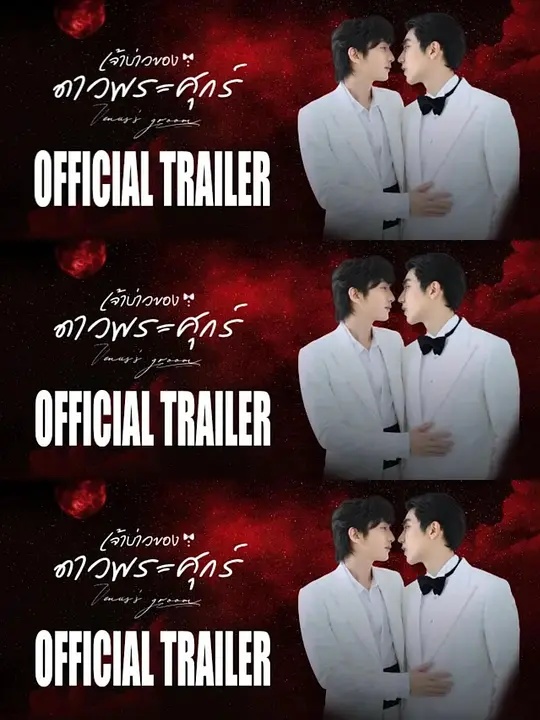 维纳斯的新郎海报