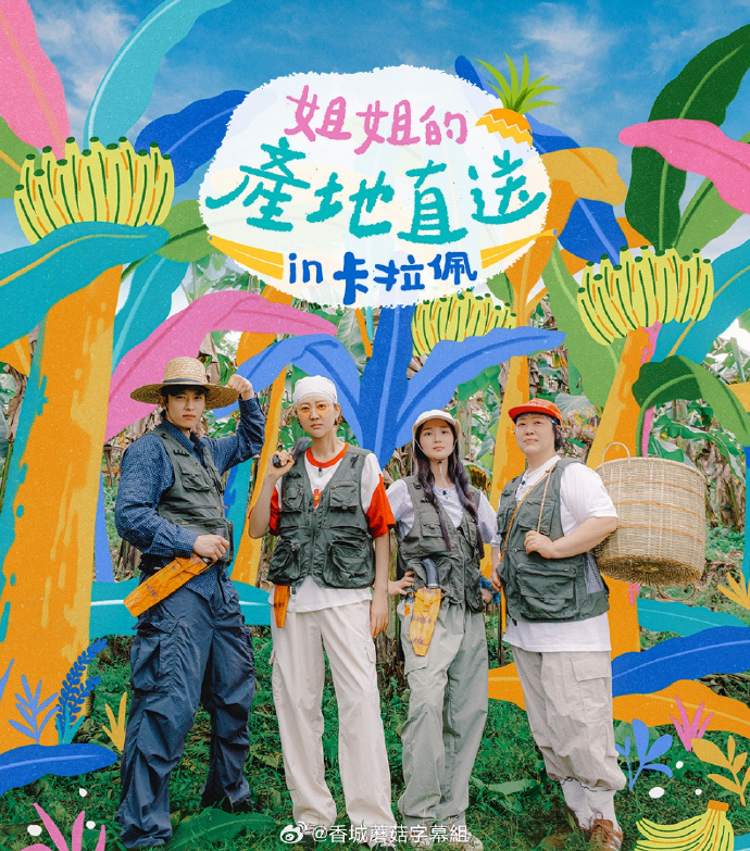 姐姐家的产地直送3海报剧照