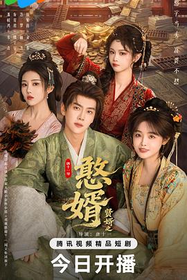 贤婿之憨婿海报